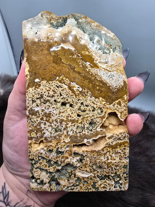 Ocean jasper slab
