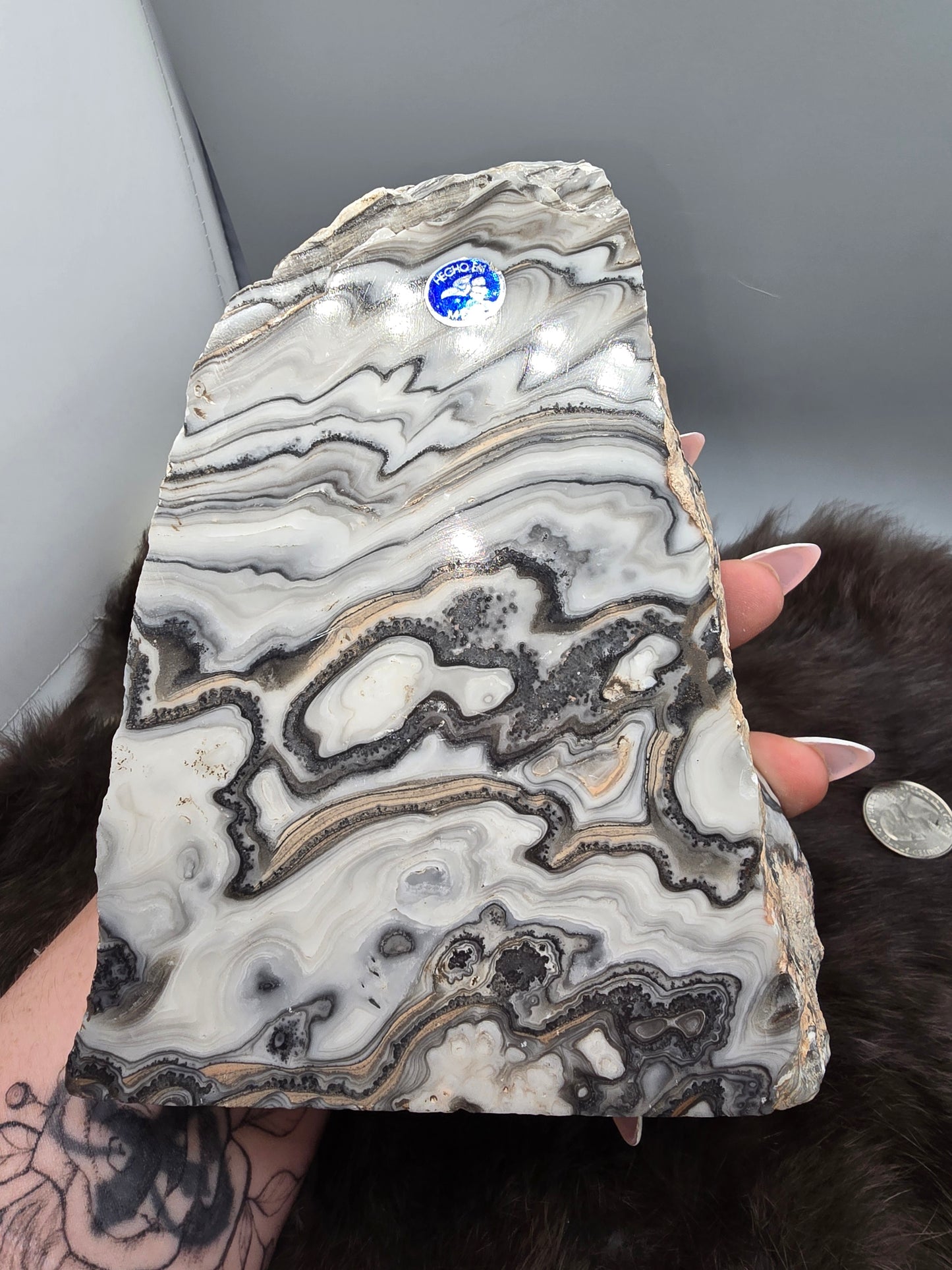 Zebra calcite freeform