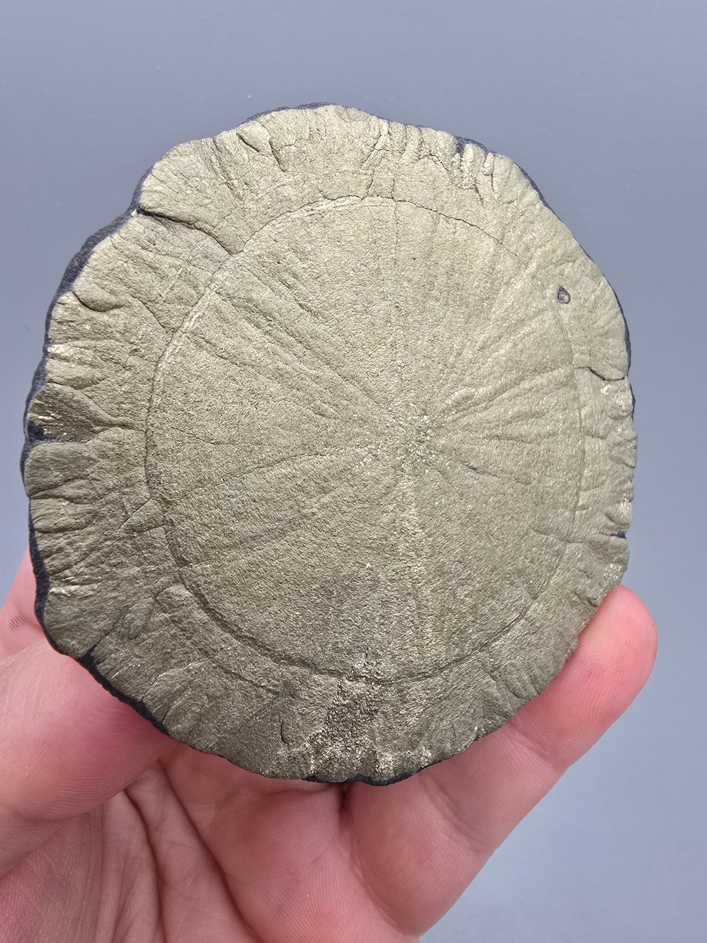 Pyrite sun