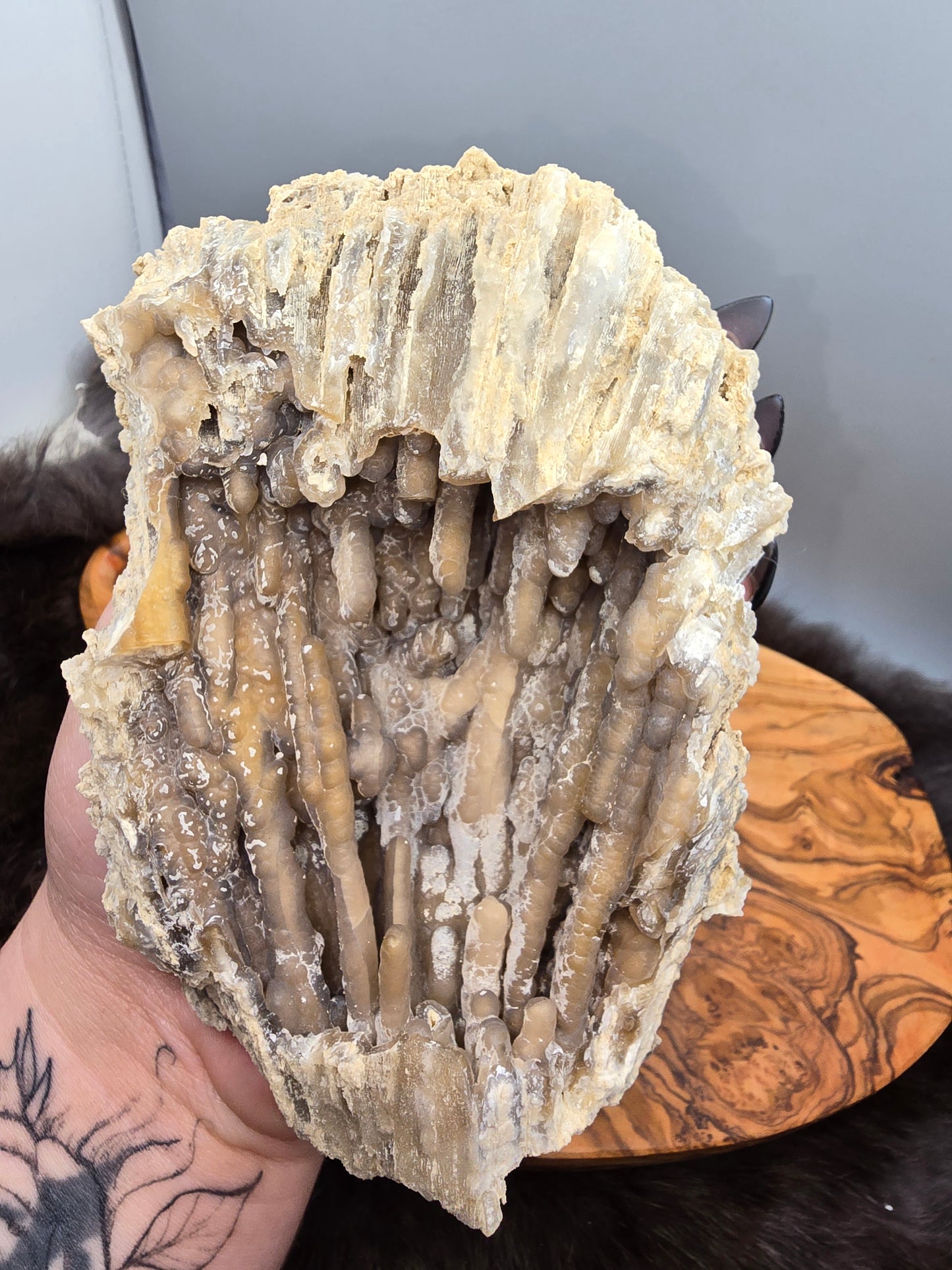 Agatized coral