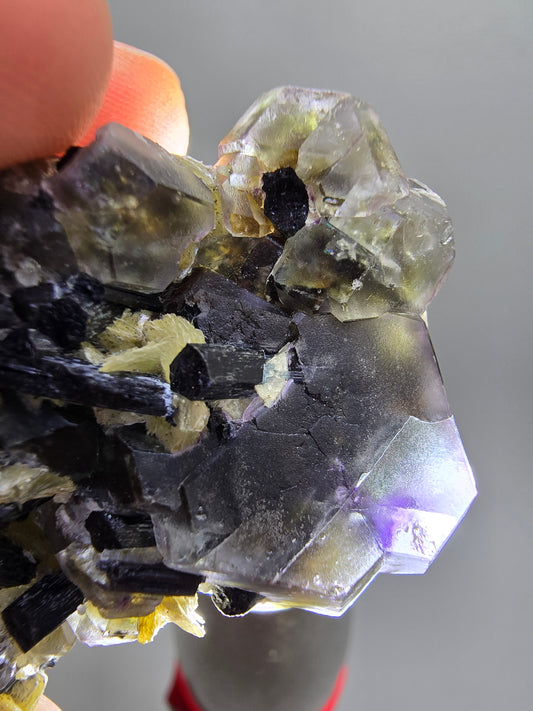 Erongo fluorite