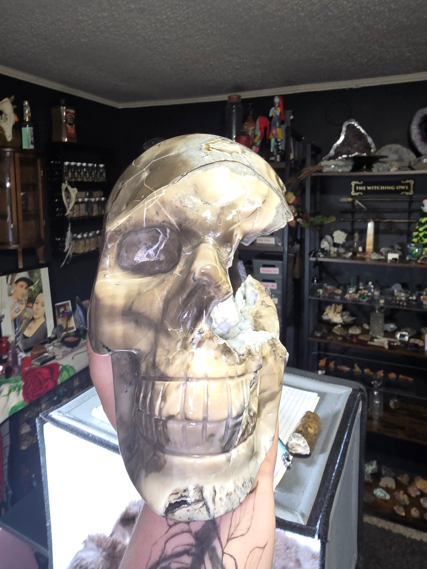 Volcano agate skull