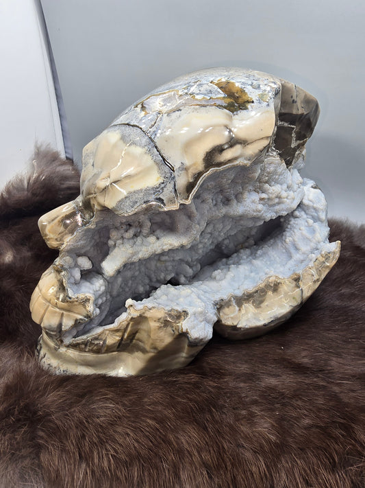 Volcano agate skull