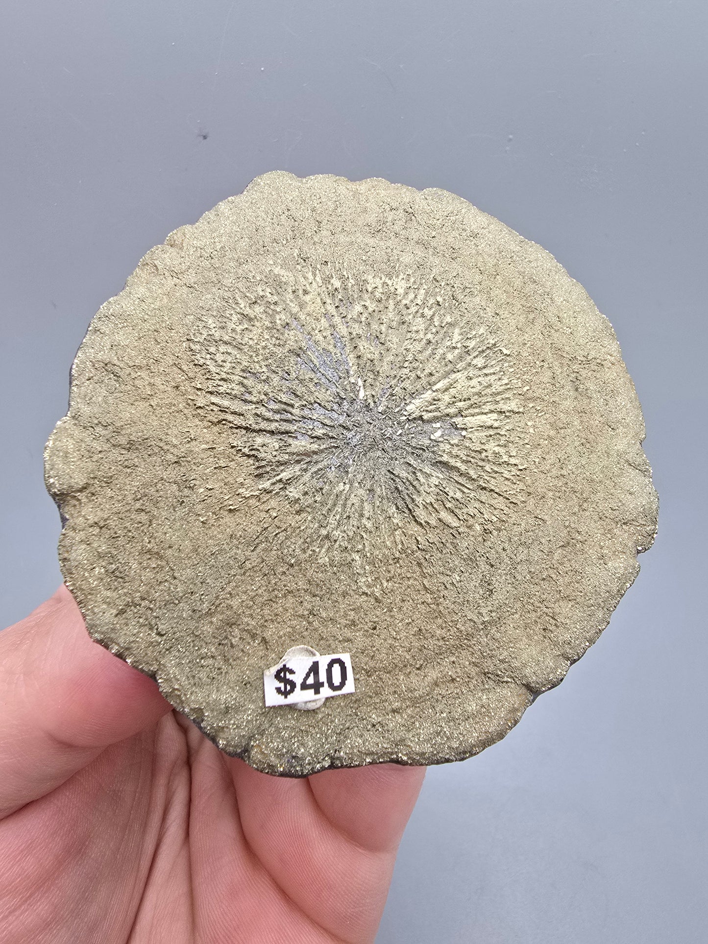 Pyrite sun