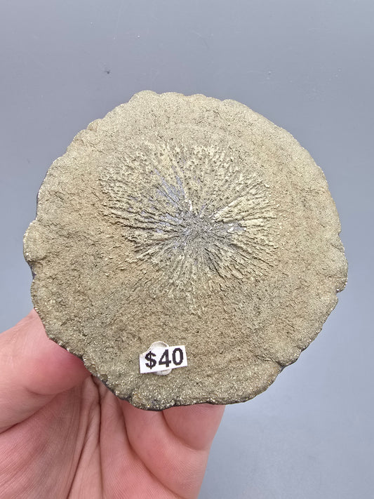 Pyrite sun