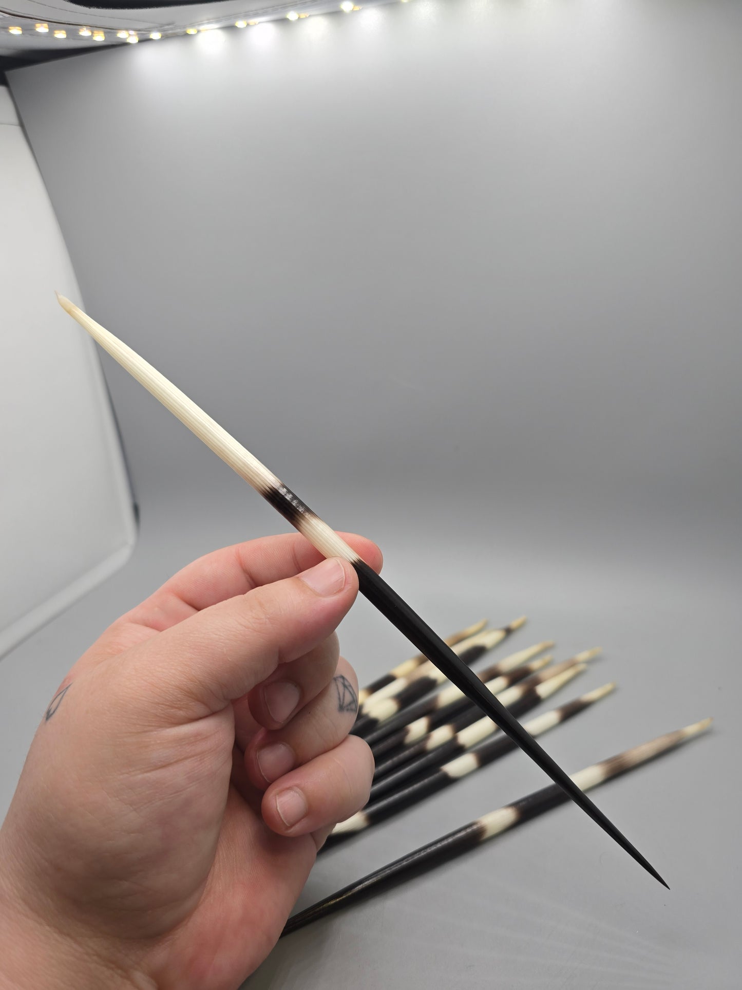 Quills