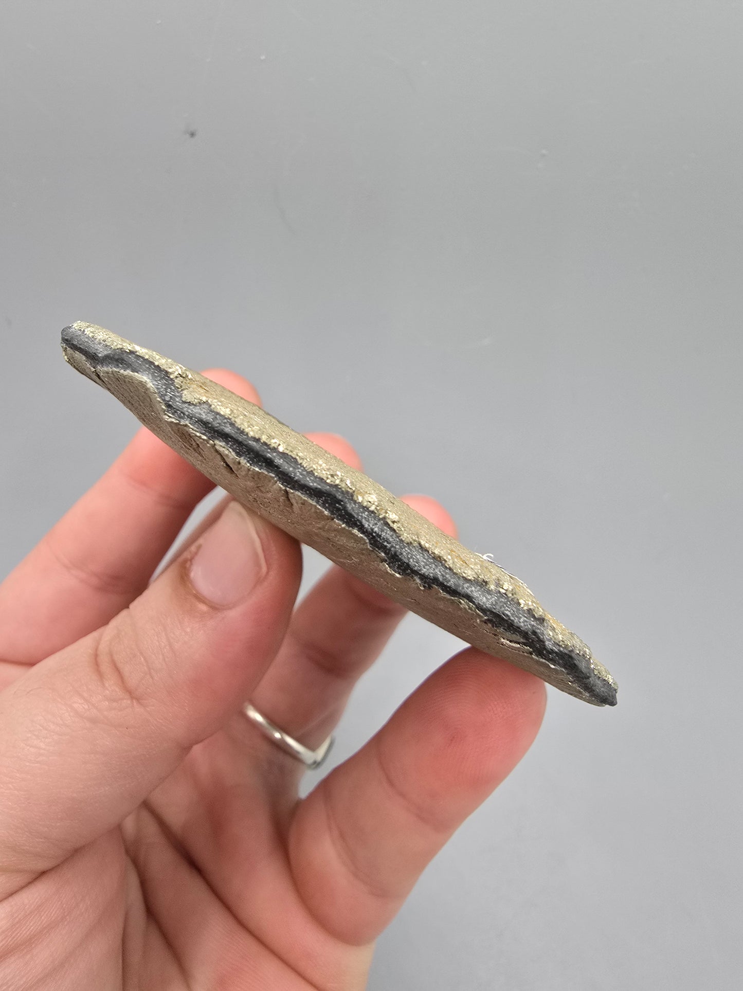 Pyrite sun
