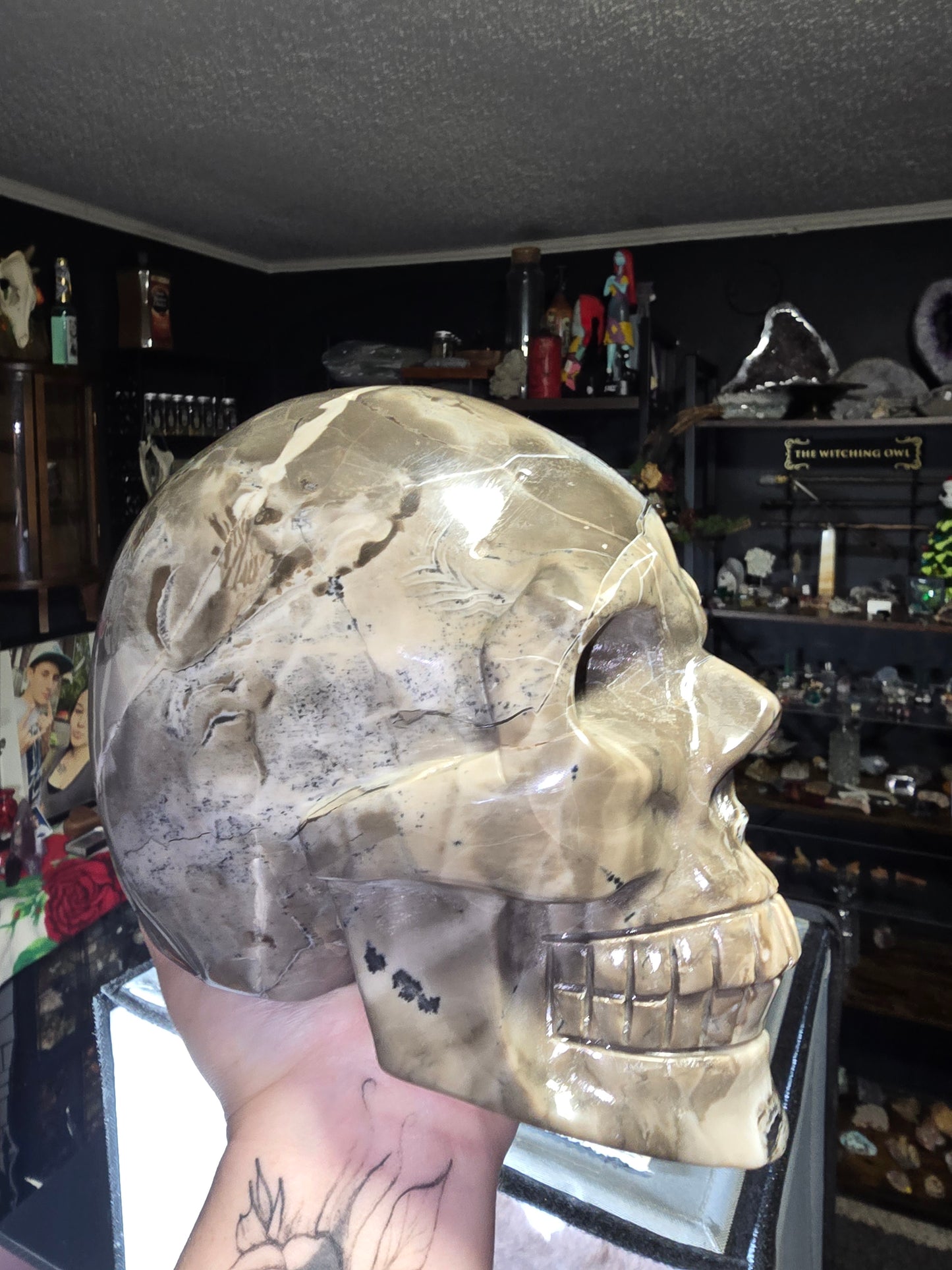 Volcano agate skull