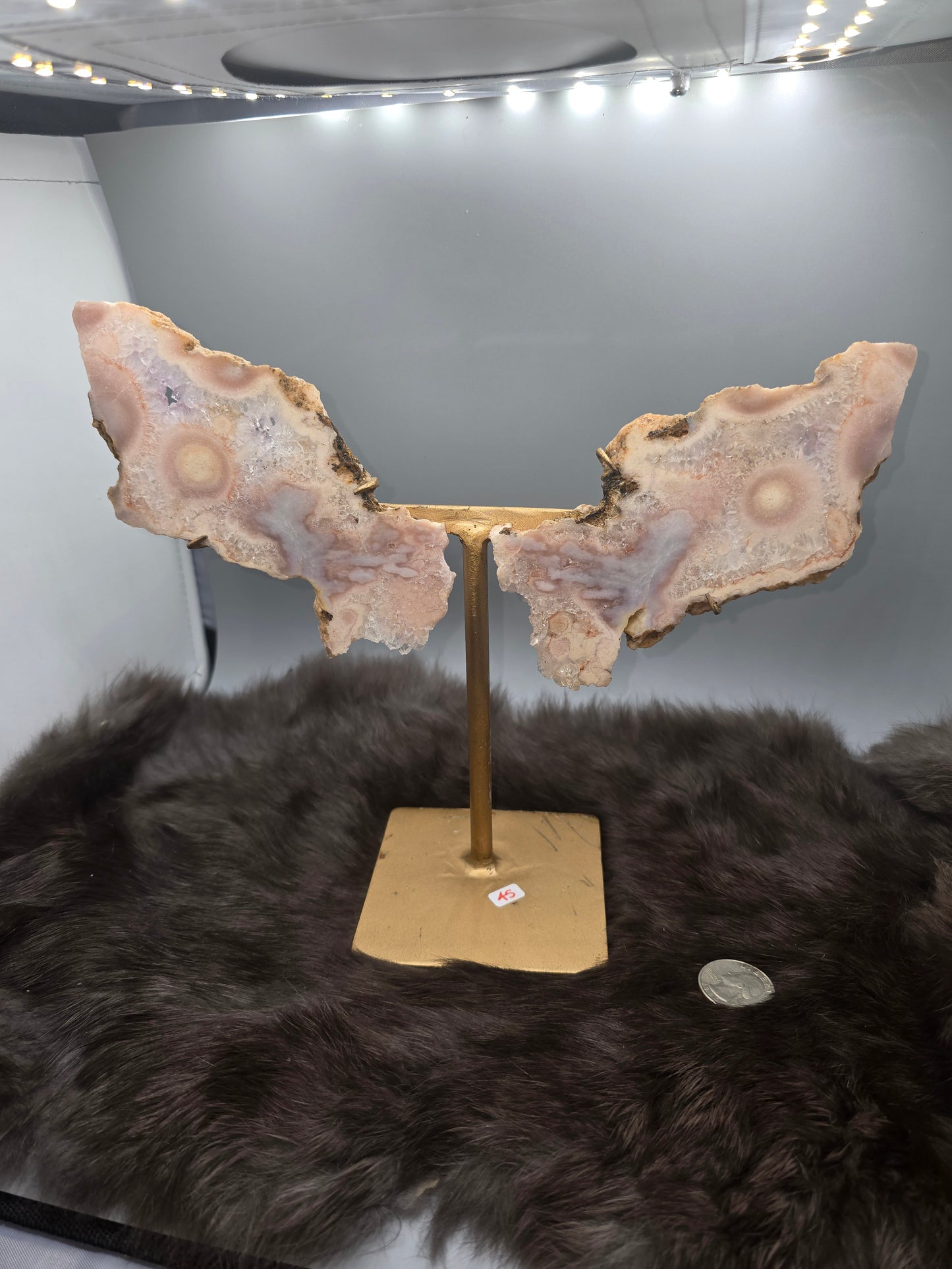 Flower agate wings