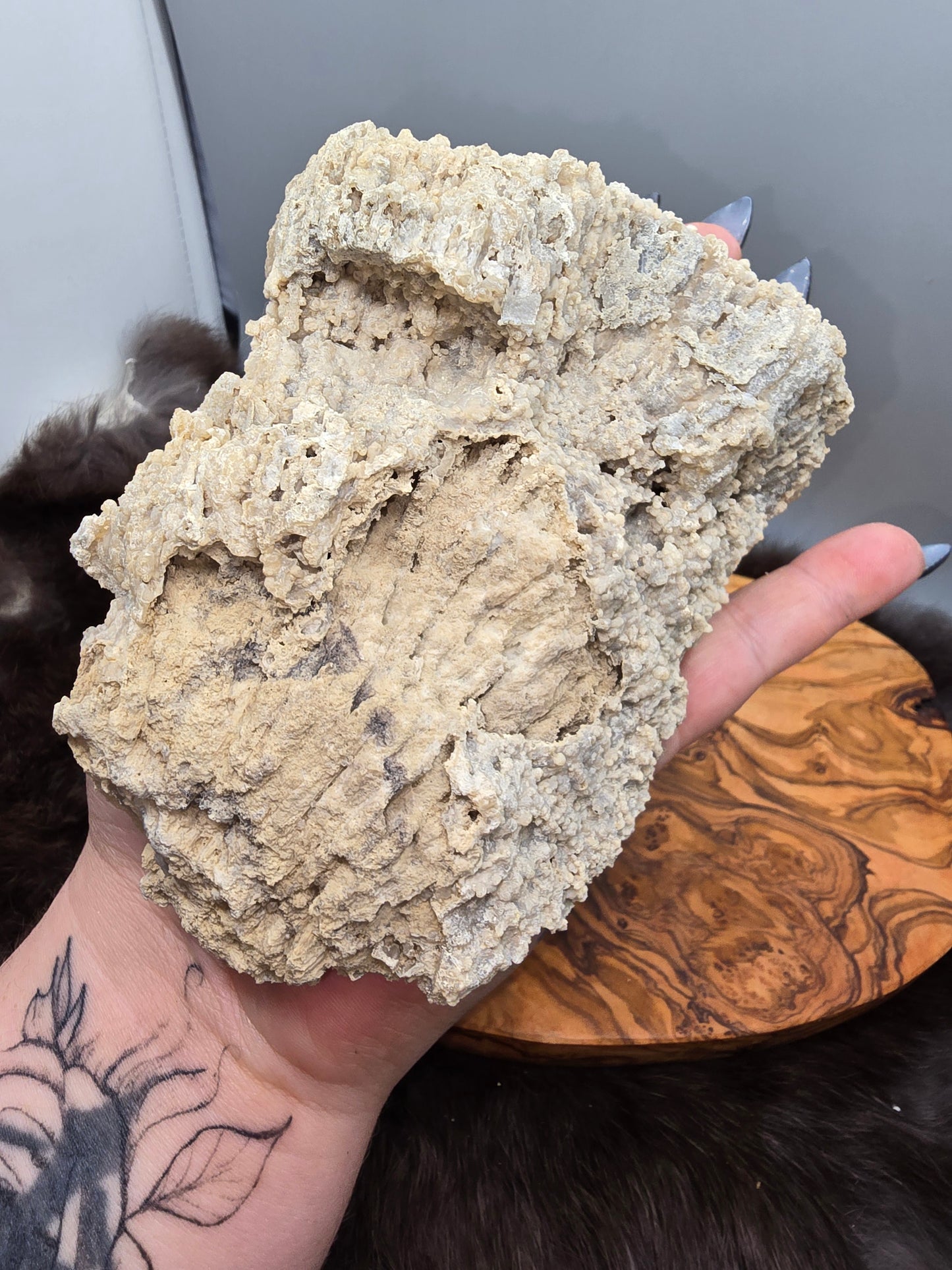 Agatized coral