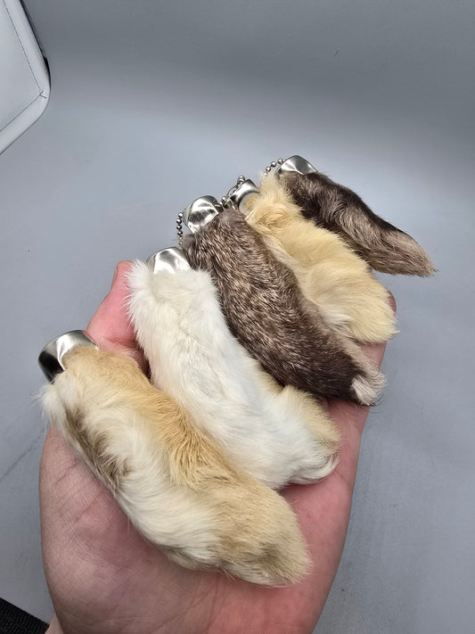 Rabbit feet