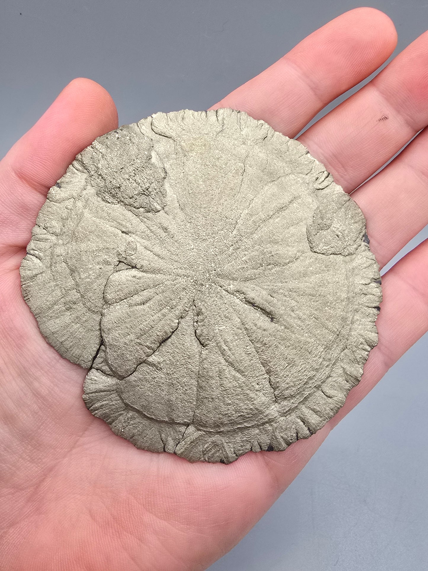 Pyrite sun B