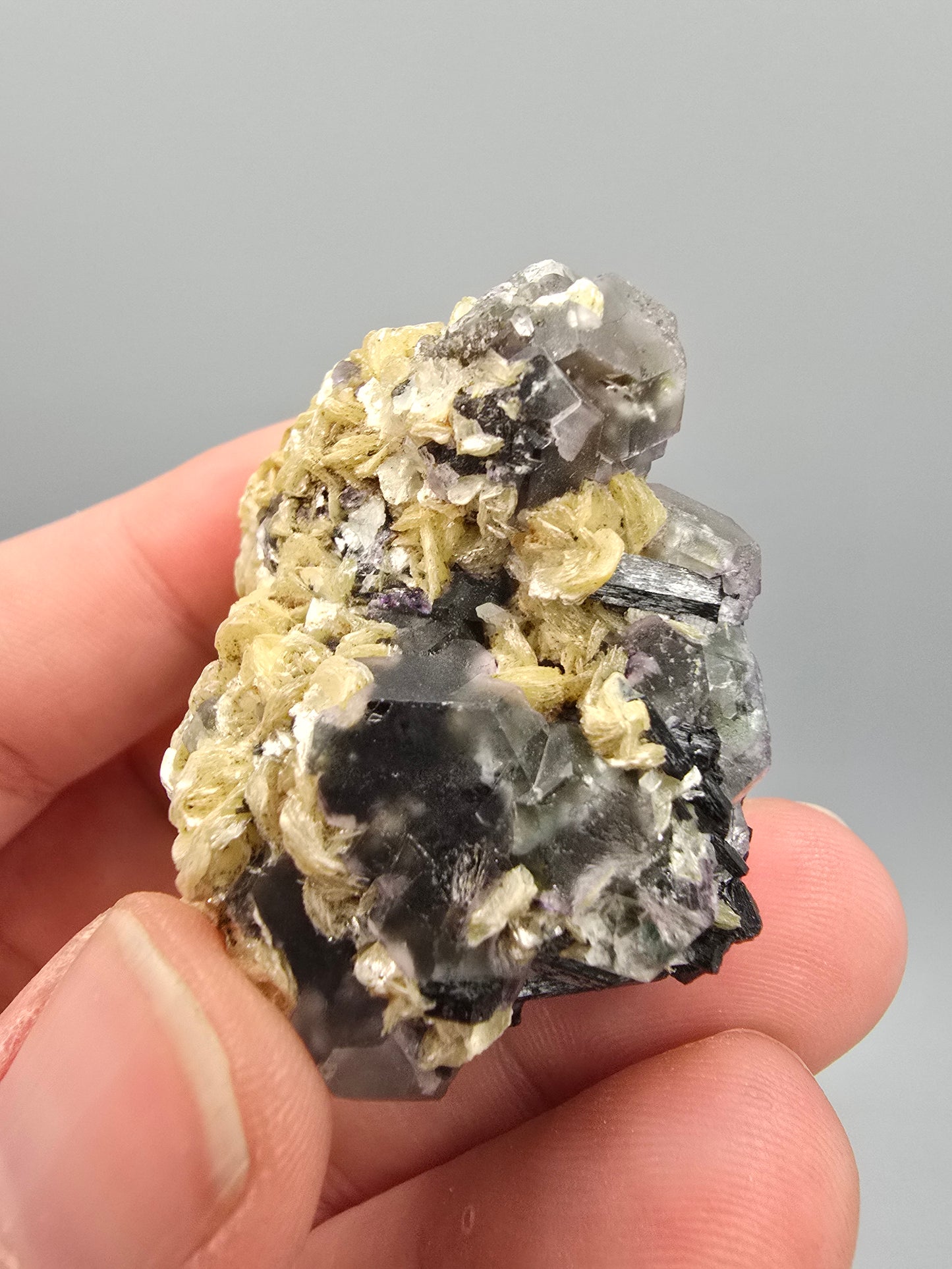 Erongo fluorite
