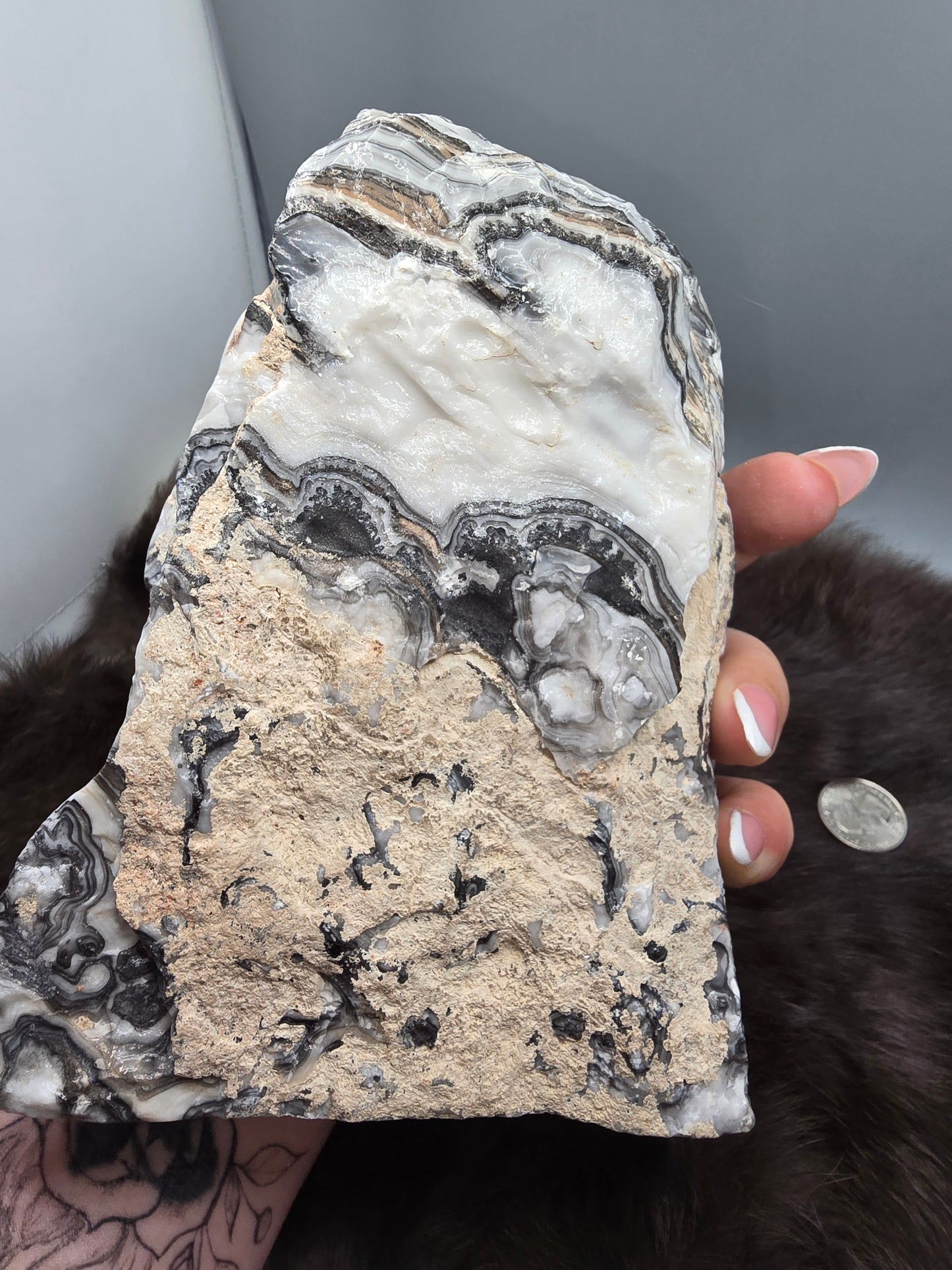 Zebra calcite freeform