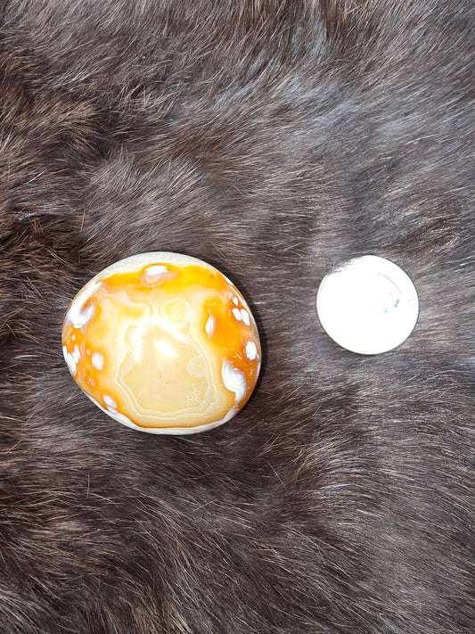 Orca carnelian