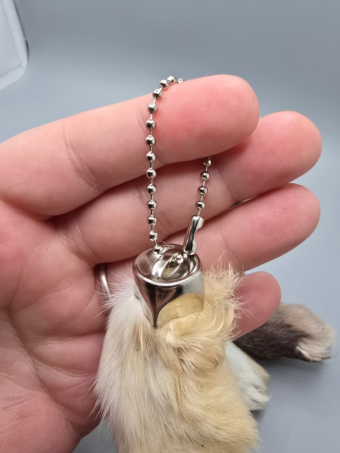 Rabbit feet