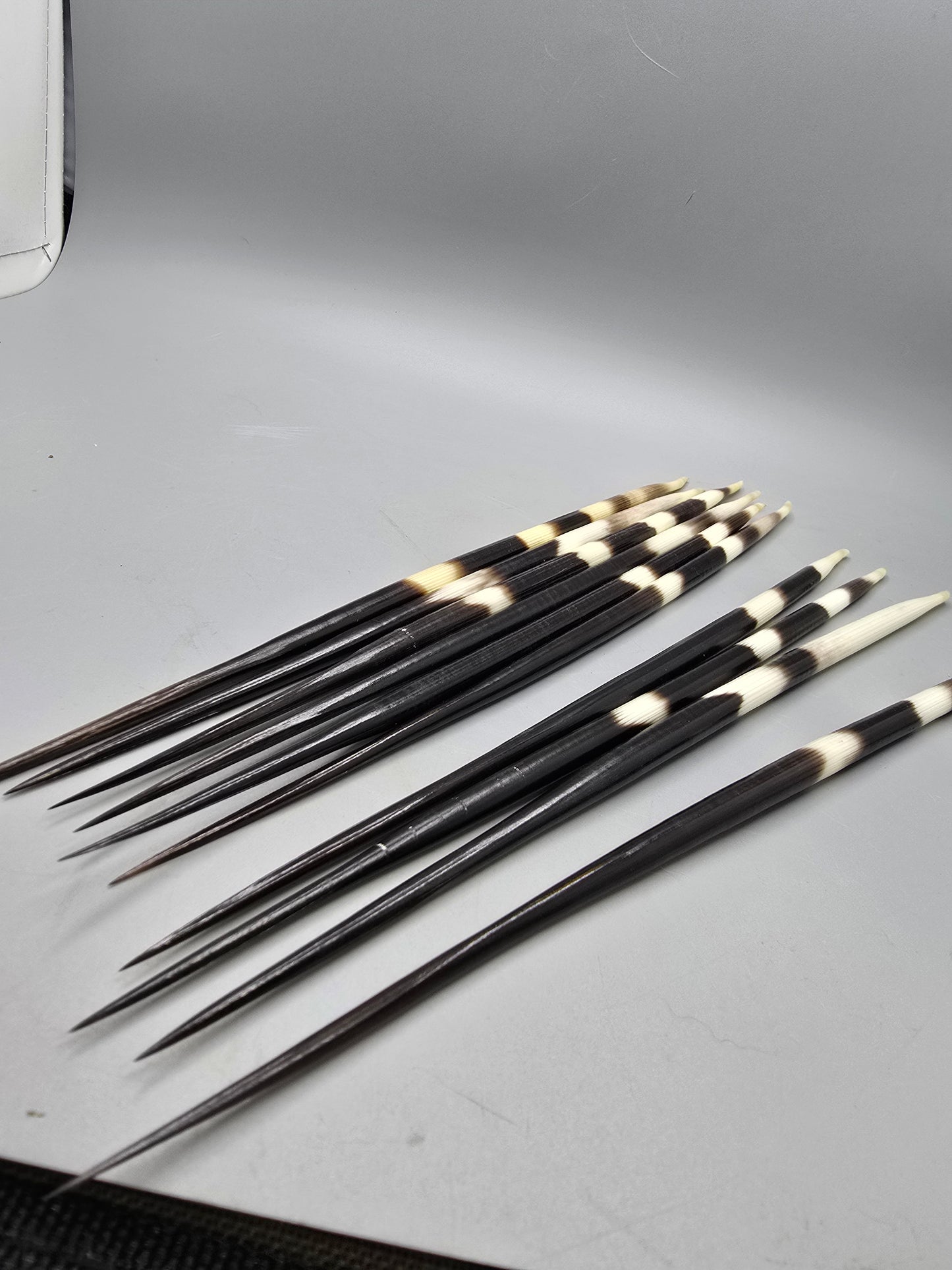Quills