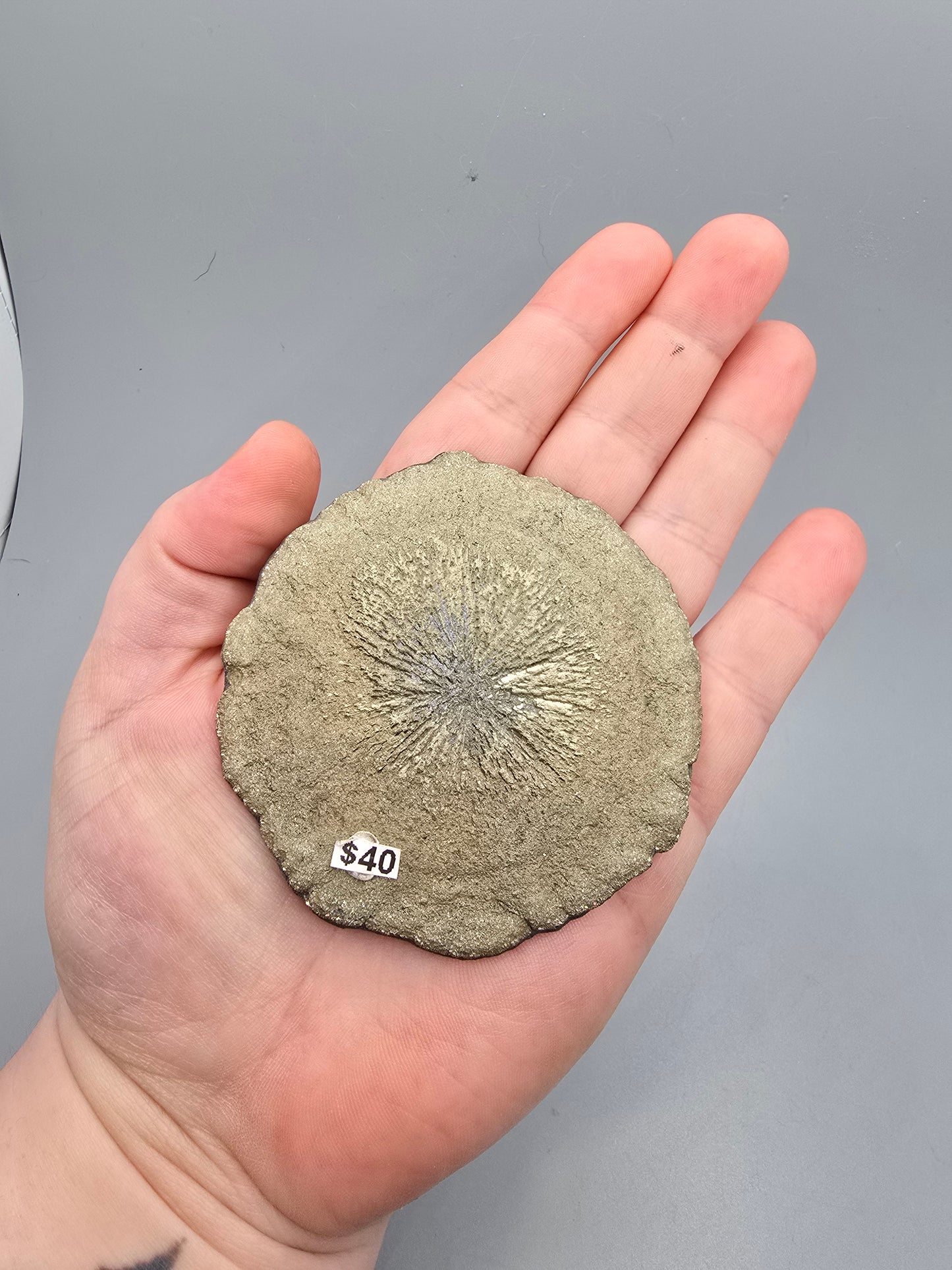 Pyrite sun