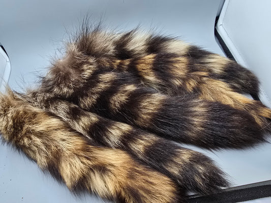 Raccoon tails