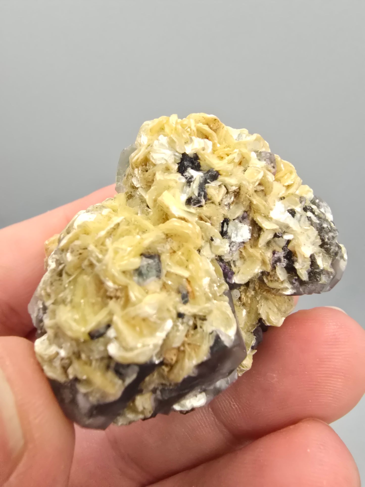 Erongo fluorite