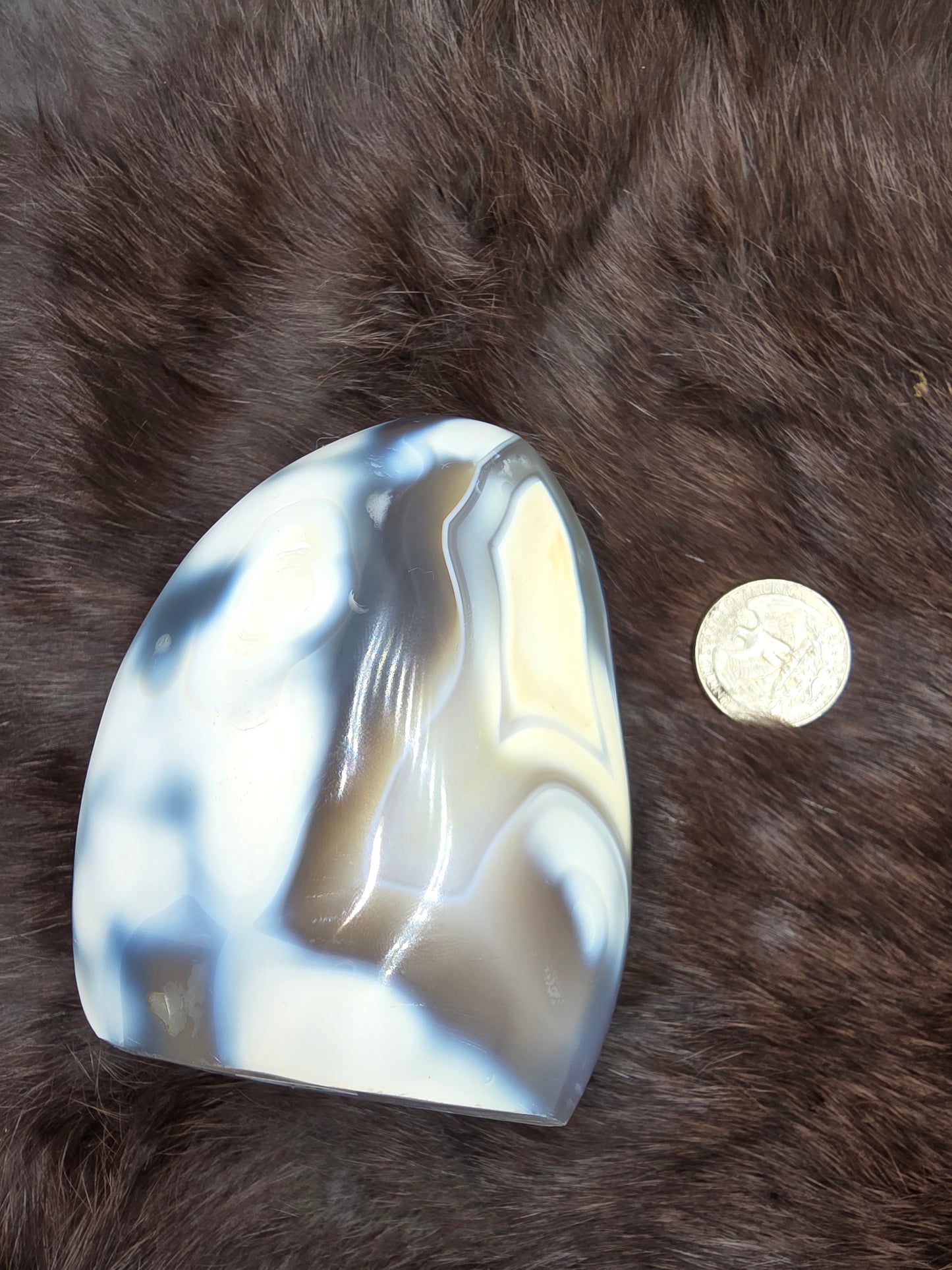Yellow orca agate